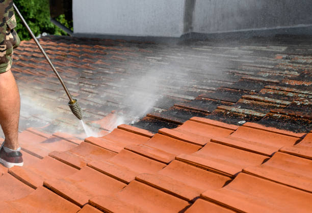 Best Pressure Washing Contractors  in Kingston, OK